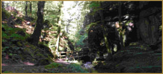 GPS wandeling 33) Oberlarg 12.9 km Elzas -gpswandelpaden.nl-  Fraaie track door bos en veld 