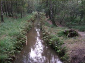 De meeste waterlopen zijn jammer genoeg recht, maar op enkele plaatsen komen de meanderende beken terug in Brabantse landschap -gpswandelpaden.nl
